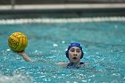 WWPolo vs CC  Wheaton College Women’s Water Polo compete in their sports inaugural match vs Connecticut College. - Photo By: KEITH NORDSTROM : Wheaton, water polo, inaugural